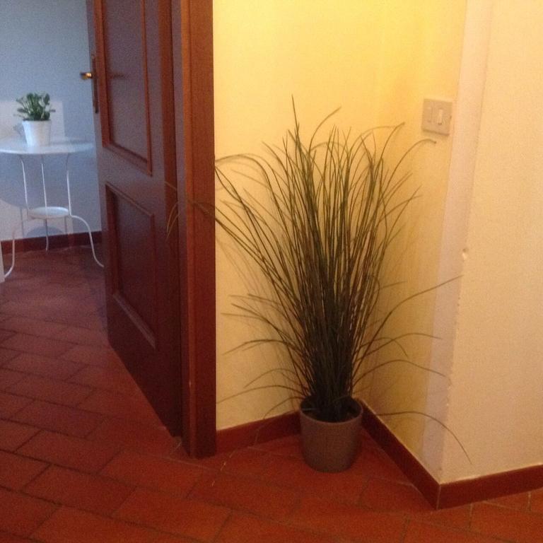Tuscany House Centro Citta Daire Pisa Dış mekan fotoğraf